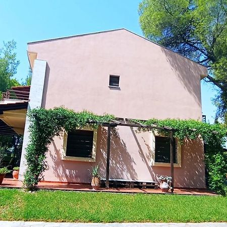 High Aesthetics Maisonette In The Wood By The Sea Metamorfosi  Exterior foto