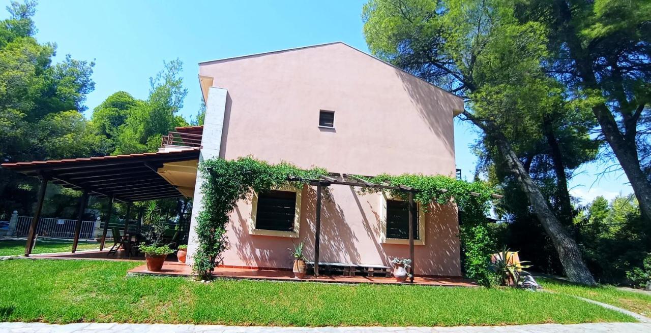 High Aesthetics Maisonette In The Wood By The Sea Metamorfosi  Exterior foto