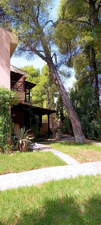 High Aesthetics Maisonette In The Wood By The Sea Metamorfosi  Exterior foto