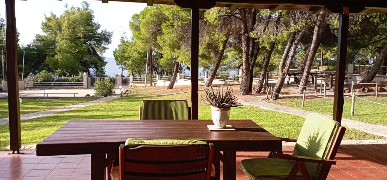 High Aesthetics Maisonette In The Wood By The Sea Metamorfosi  Exterior foto