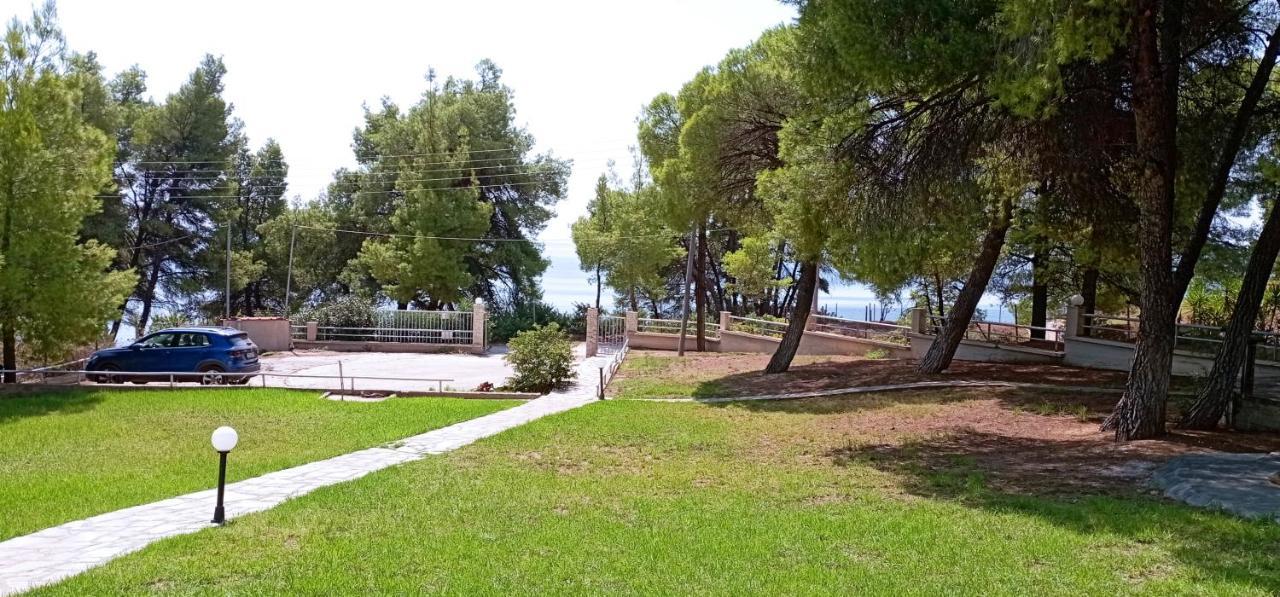 High Aesthetics Maisonette In The Wood By The Sea Metamorfosi  Exterior foto