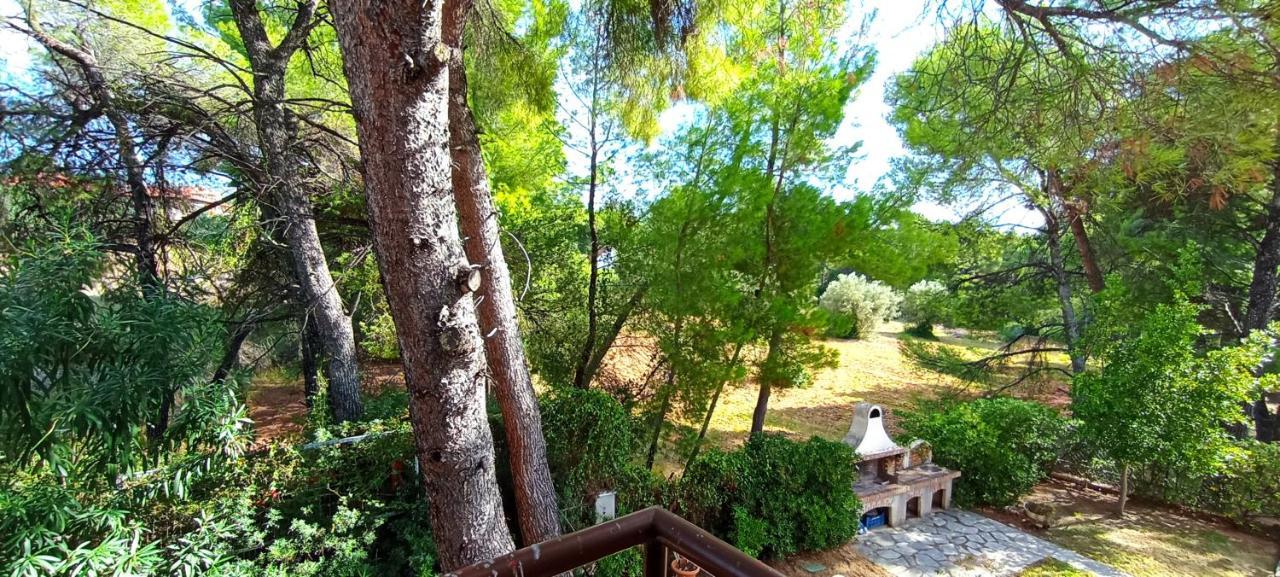 High Aesthetics Maisonette In The Wood By The Sea Metamorfosi  Exterior foto