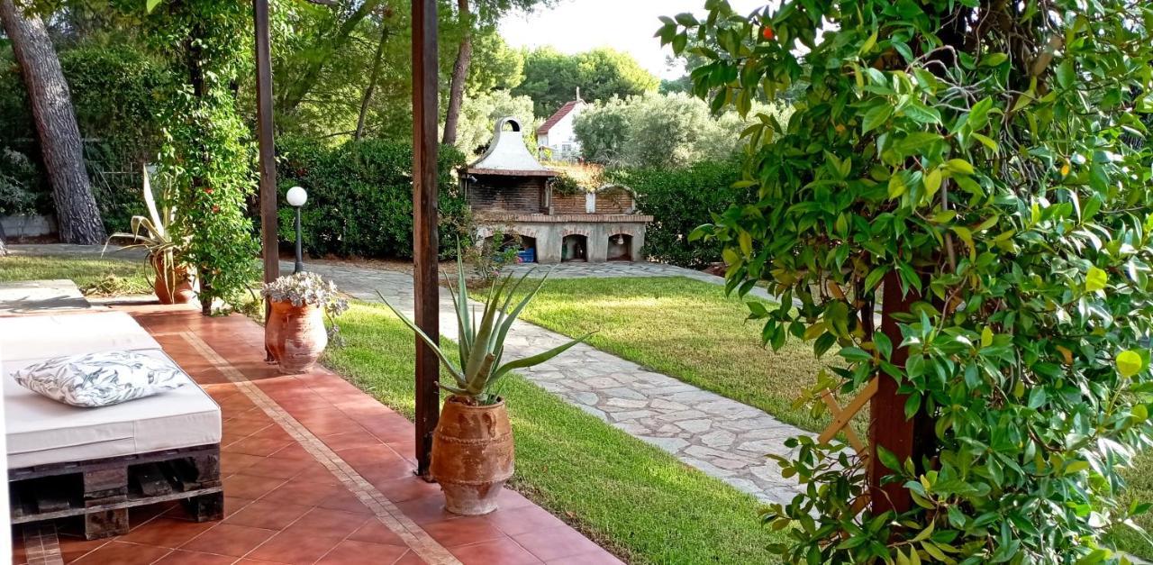 High Aesthetics Maisonette In The Wood By The Sea Metamorfosi  Exterior foto