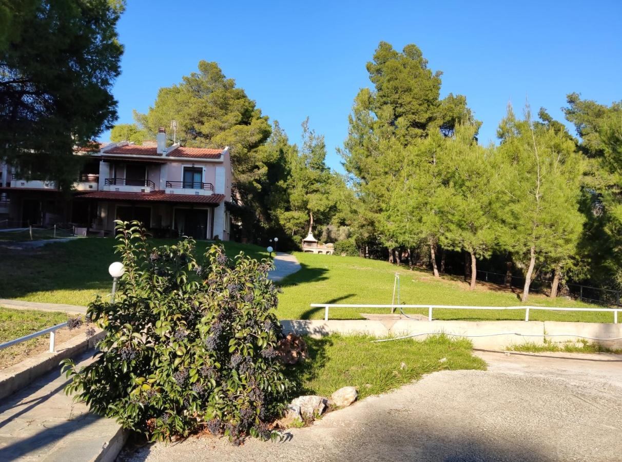 High Aesthetics Maisonette In The Wood By The Sea Metamorfosi  Exterior foto