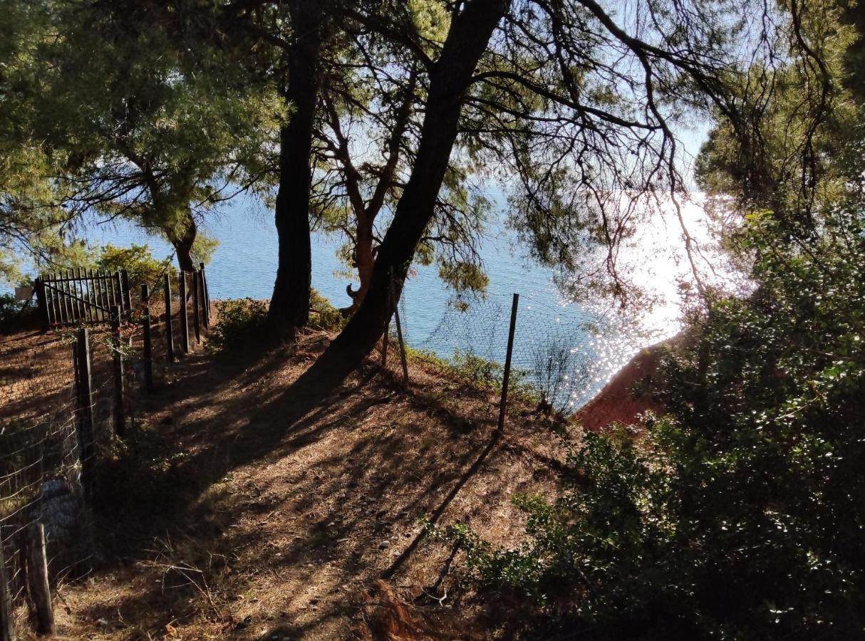 High Aesthetics Maisonette In The Wood By The Sea Metamorfosi  Exterior foto